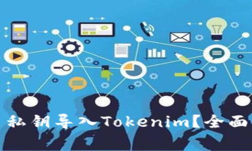 如何安全地将比特币私钥导入Tokenim？全面指南与常见问题解答