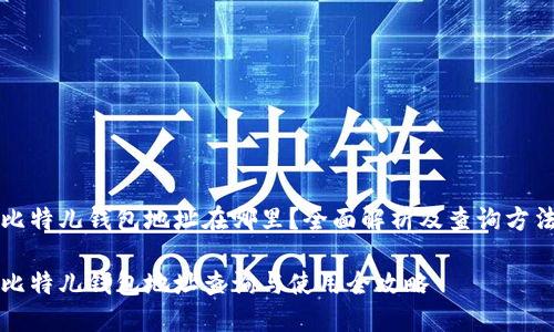 比特儿钱包地址在哪里？全面解析及查询方法

比特儿钱包地址查询与使用全攻略