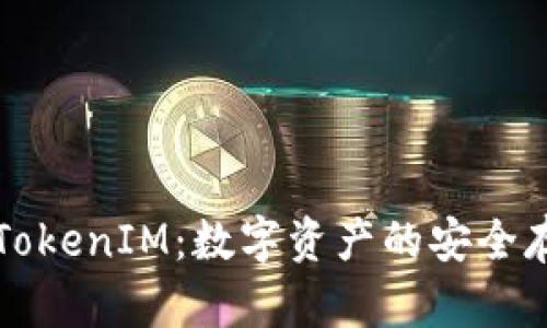 深入了解TokenIM：数字资产的安全存储与管理