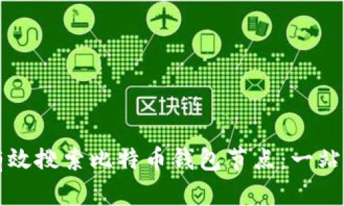 如何有效搜索比特币钱包节点：一站式指南