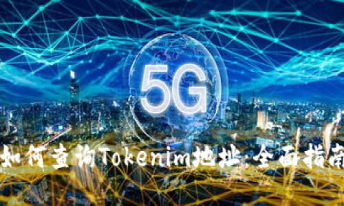 如何查询Tokenim地址：全面指南