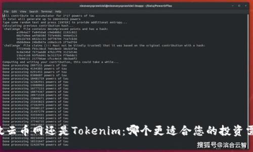 币放云币网还是Tokenim：哪个更适合您的投资需求？